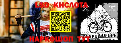 прущие грибы Будённовск