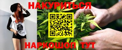 прущие грибы Будённовск