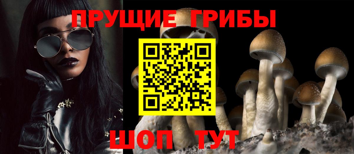 Галлюциногенные грибы Cubensis  Вход с VPN  Саянск 